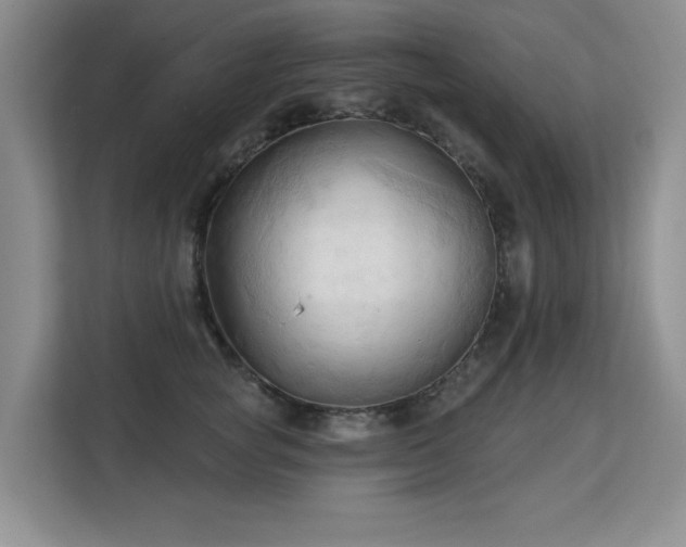 X0000113130757200909110914