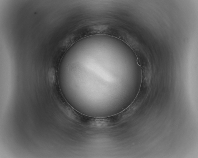 X0000113130758200909110914