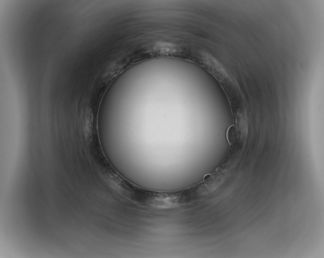 X0000113130760200909110914