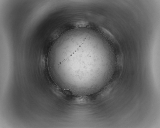 X0000113130761200909110914