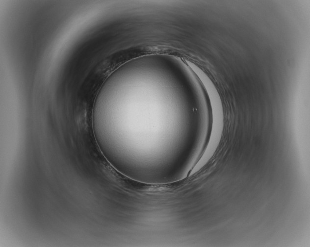 X0000113130762200909110914