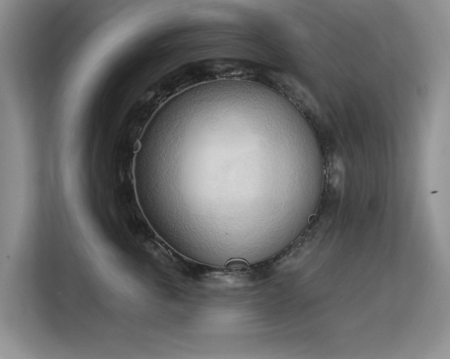 X0000113130763200909110914