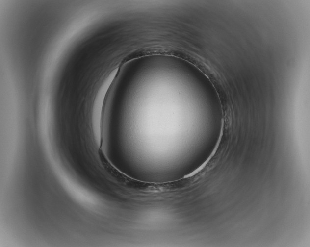 X0000113130764200909110914