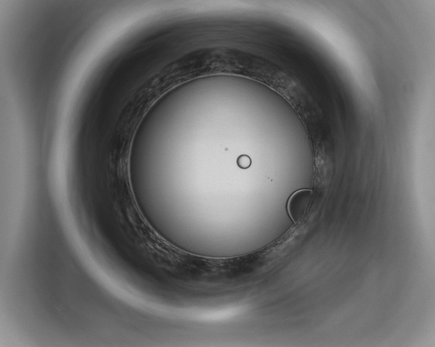 X0000113130765200909110914