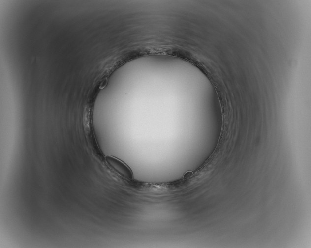 X0000113130768200909110914