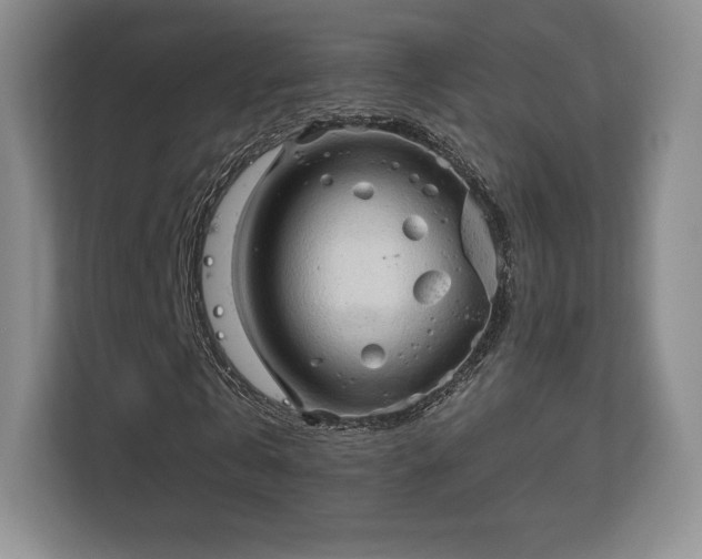 X0000113130769200909110913