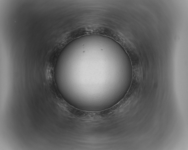 X0000113130770200909110913