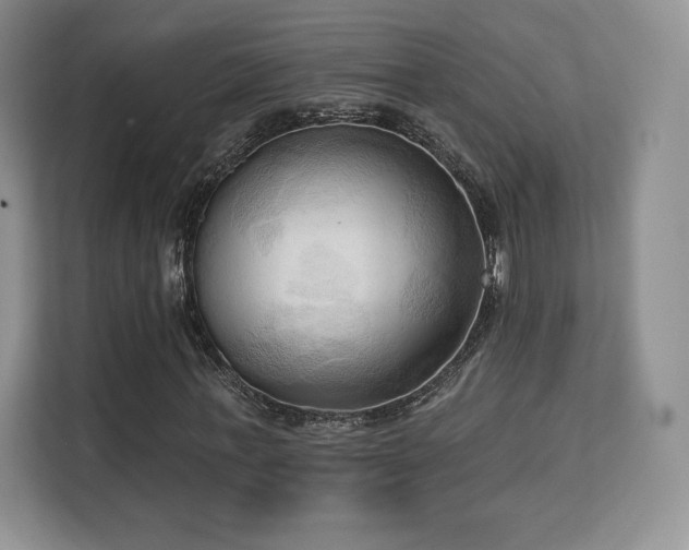 X0000113130771200909110913