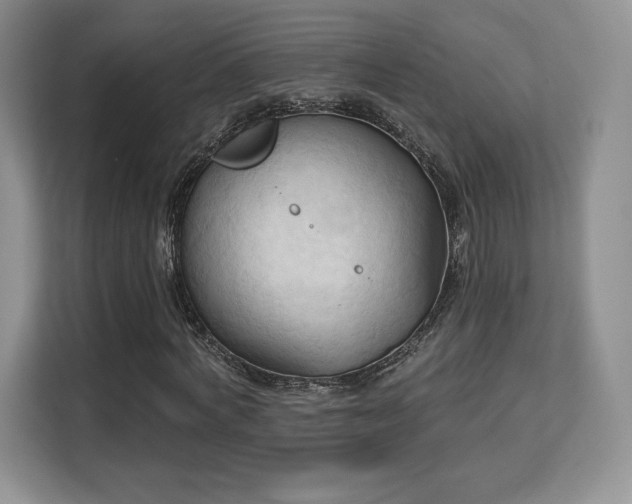 X0000113130772200909110913