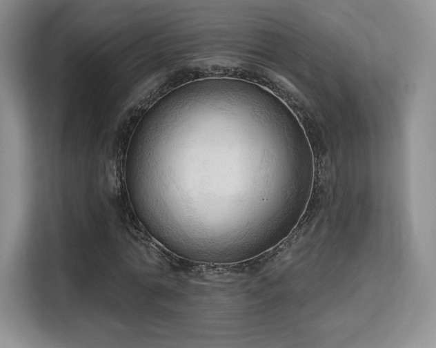 X0000113130774200909110913