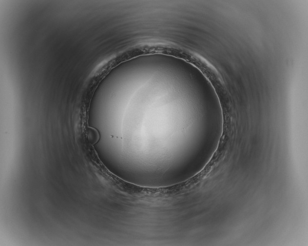 X0000113130775200909110913