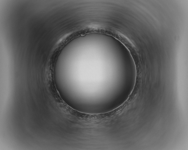 X0000113130776200909110913