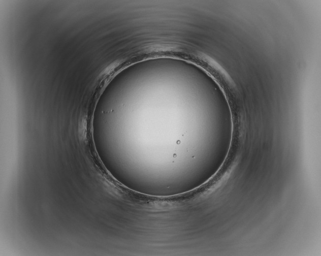 X0000113130777200909110913