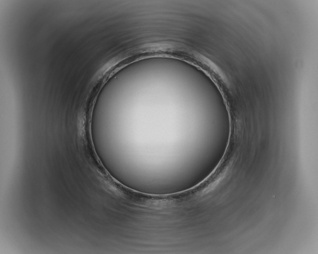 X0000113130778200909110913