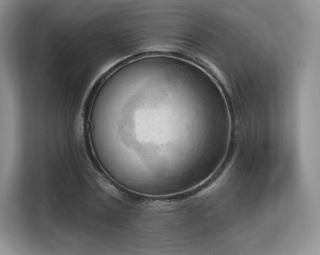 X0000113130779200909110913