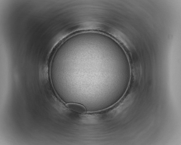 X0000113130781200909110913