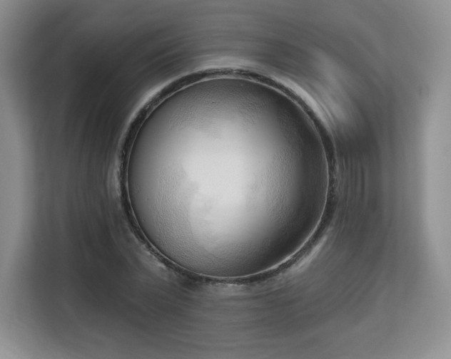 X0000113130783200909110913