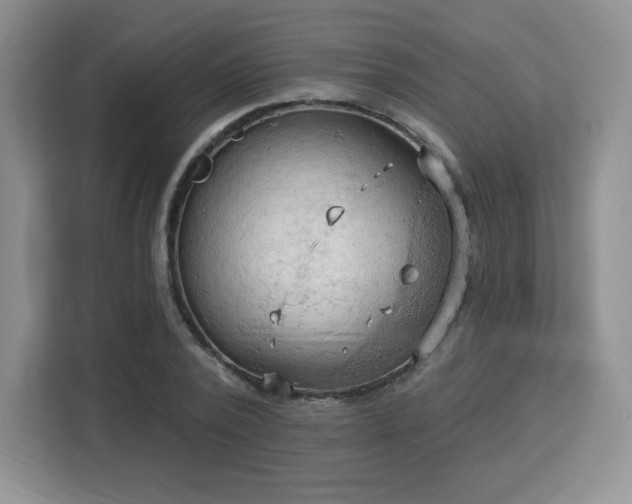 X0000113130784200909110913