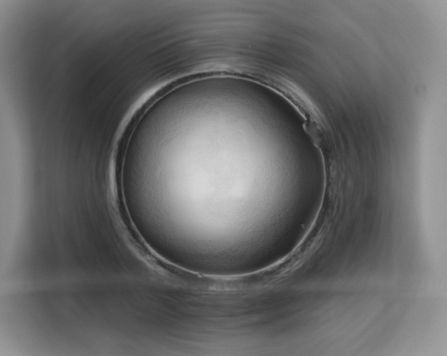 X0000113130788200909110913