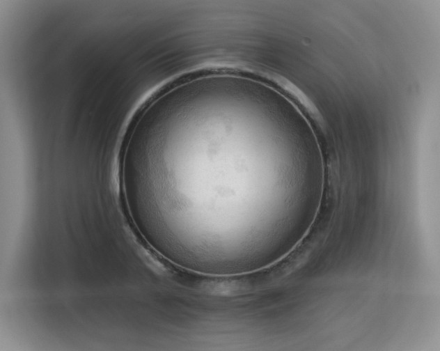 X0000113130791200909110913