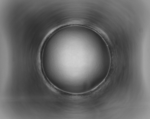 X0000113130792200909110913