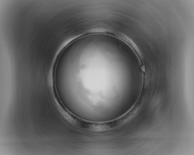 X0000113130795200909110913