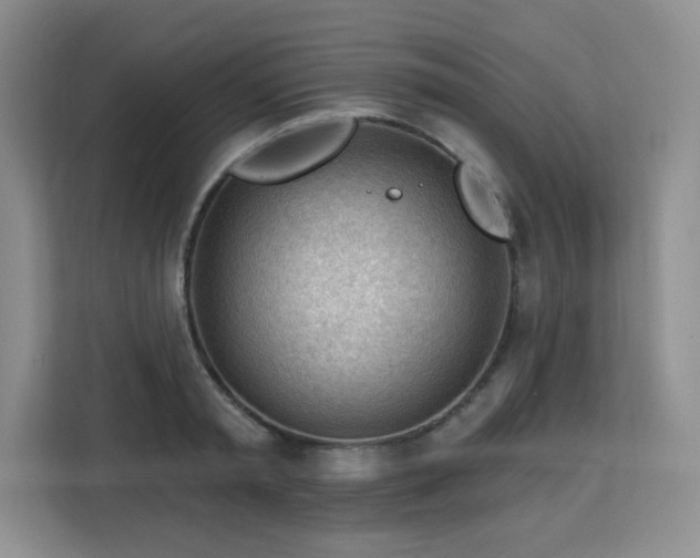 X0000113130797200909110913