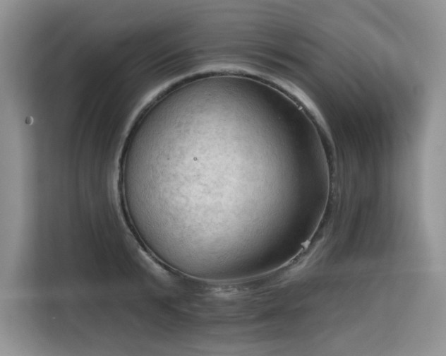 X0000113130799200909110913