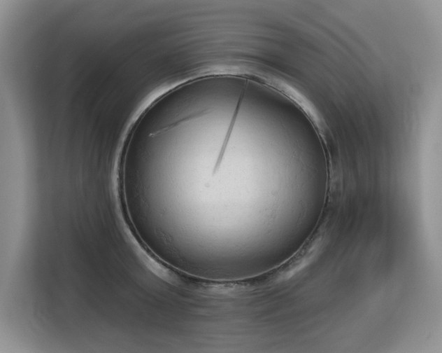 X0000113130803200909110913