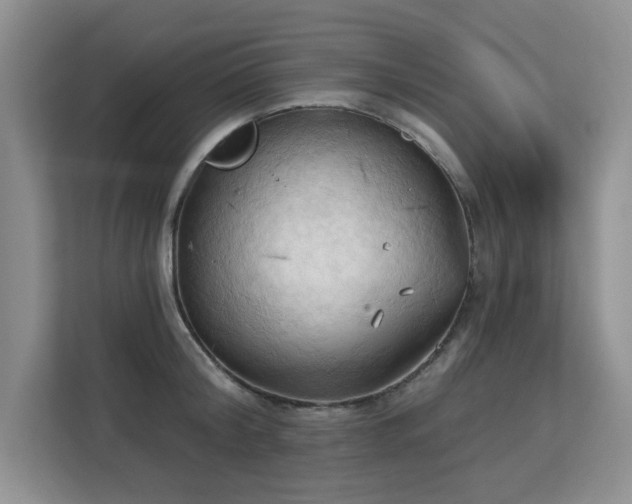 X0000113130804200909110913
