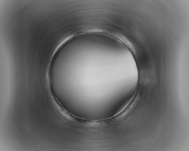 X0000113130806200909110913