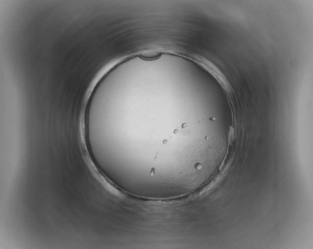 X0000113130812200909110913