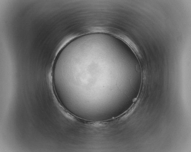 X0000113130814200909110913