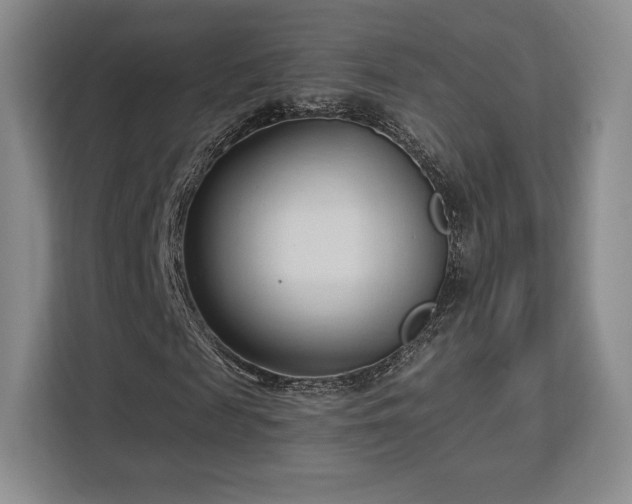 X0000113130817200909110912