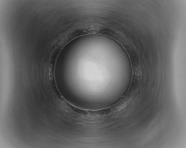 X0000113130818200909110912