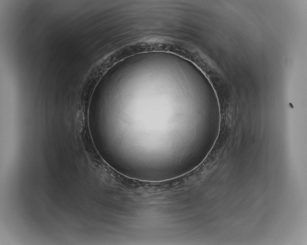 X0000113130821200909110912