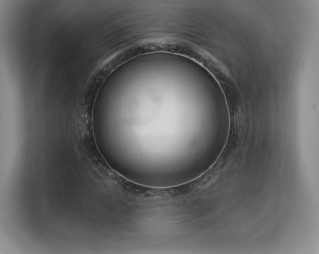 X0000113130822200909110912