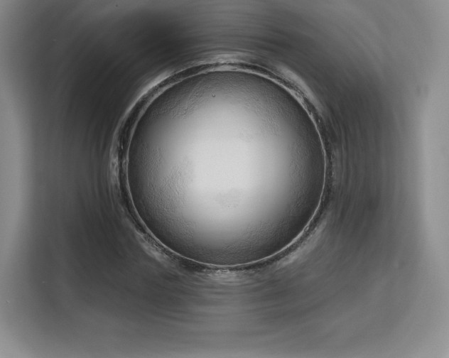 X0000113130827200909110912