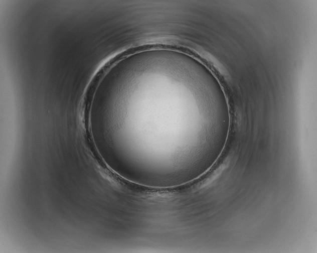 X0000113130830200909110912