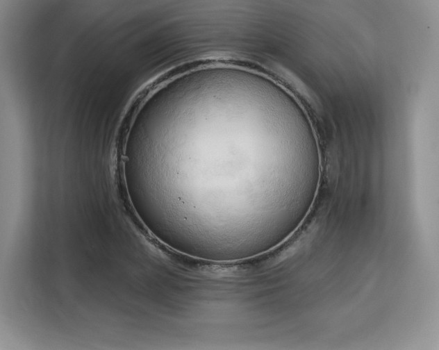 X0000113130831200909110912