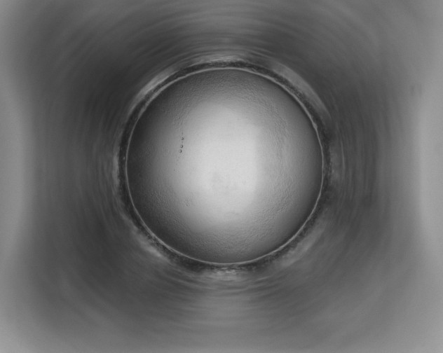 X0000113130834200909110912