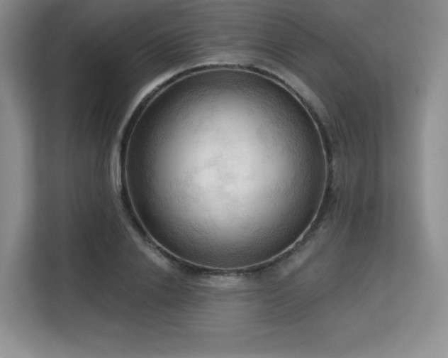 X0000113130838200909110912