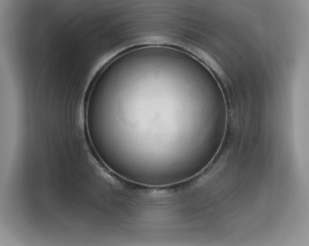 X0000113130839200909110912