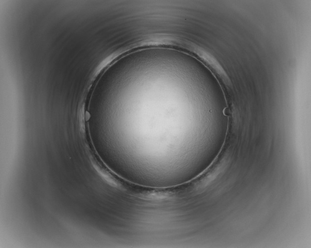 X0000113130842200909110912