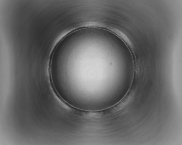 X0000113130847200909110912