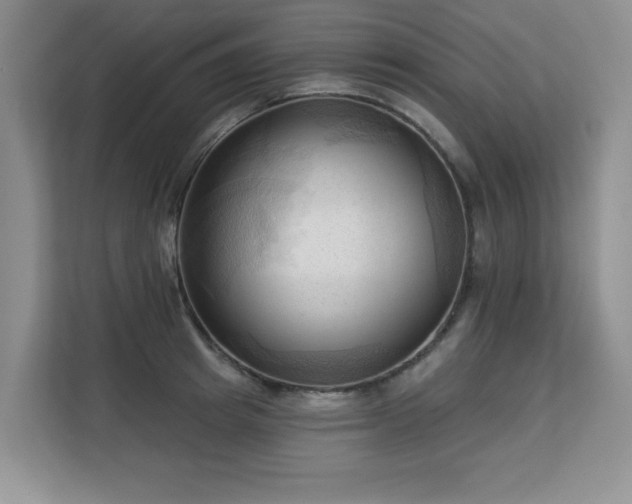 X0000113130849200909110912