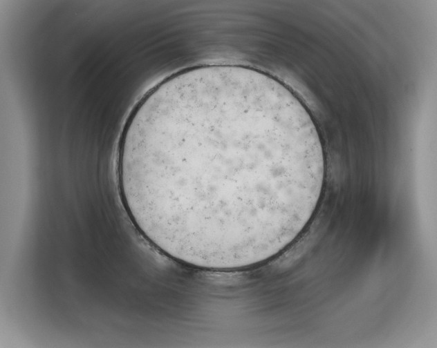 X0000113130856200909110912