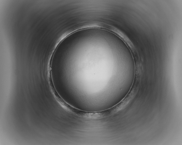 X0000113130858200909110912