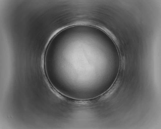 X0000113130862200909110912