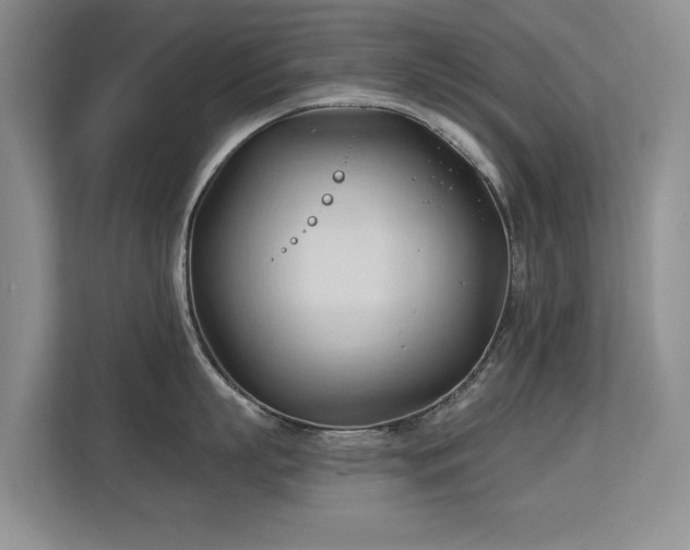 X0000113130863200909110912